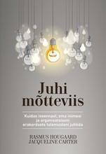 Juhi mõtteviis